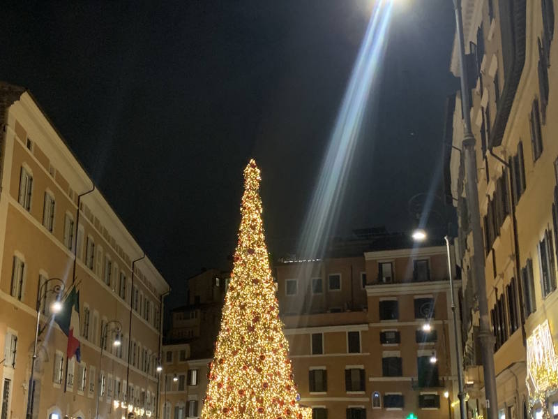 Albero di Natale Piazza San Lorenzo in Lucina ph. Turismoroma Albero di Natale Piazza San Lorenzo in Lucina ph. Turismoroma
