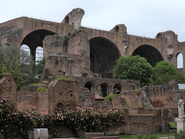 Basilica di Massenzio, ph. Simona Murrone, Parco Archeologico del Colosseo Basilica di Massenzio, ph. Simona Murrone, Parco Archeologico del Colosseo