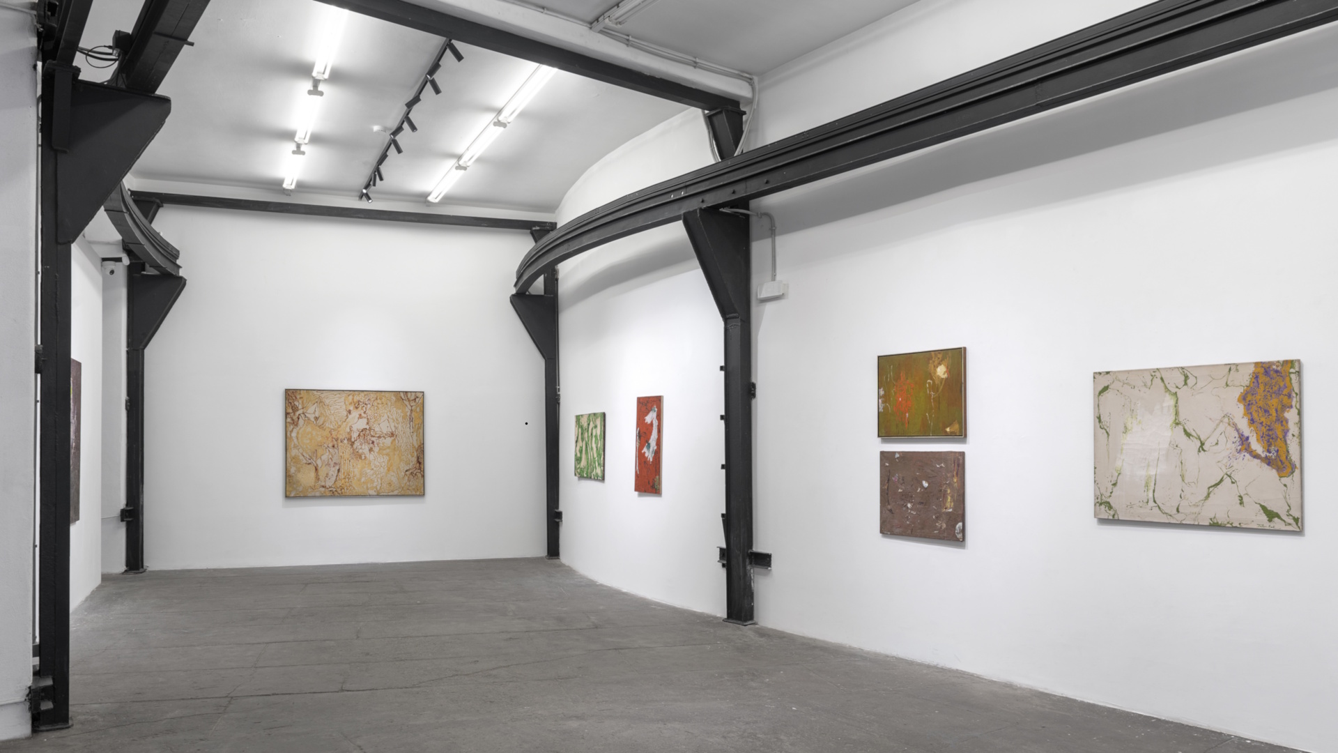Ripense 2026 Mostra Beck. Foto Andrea Veneri Ripense 2026 Mostra Beck. Foto Andrea Veneri