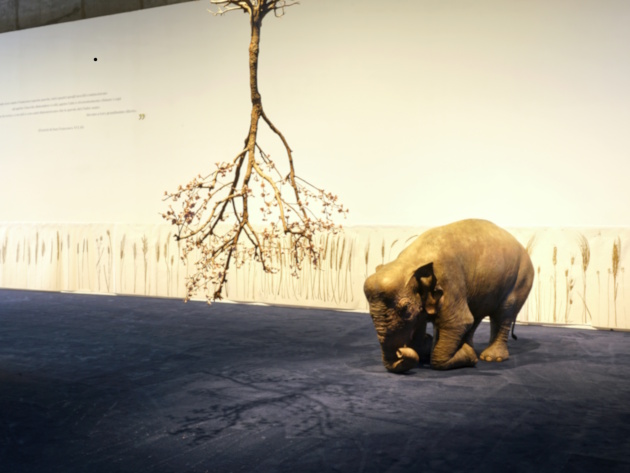Creature Creatori foto ®LuisDoRosario, courtesy Fondazione MAXXI Creature Creatori foto ®LuisDoRosario, courtesy Fondazione MAXXI