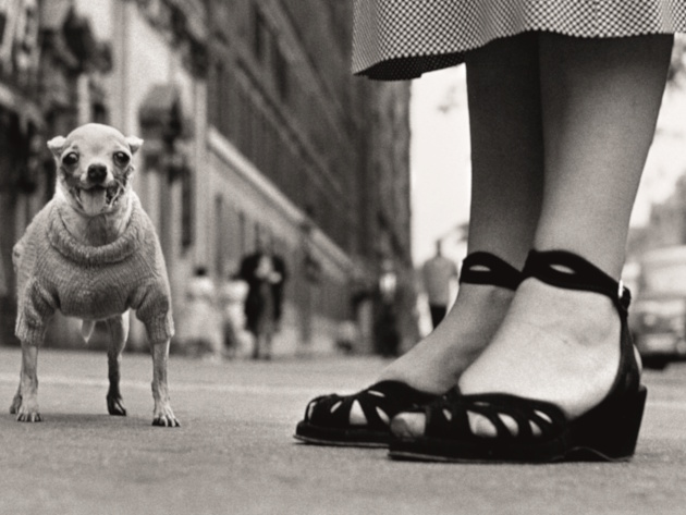 Elliott Erwitt USA. New York City, 1946 40x50 cm © Elliott Erwitt Private Collection Elliott Erwitt USA. New York City, 1946 40x50 cm © Elliott Erwitt Private Collection