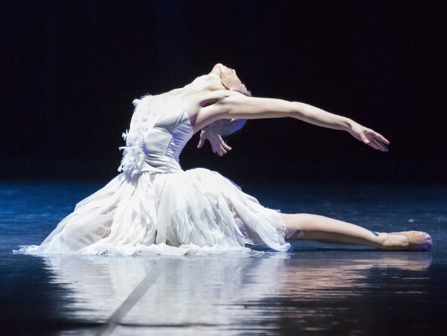 Il Lago dei Cigni ovvero il Canto - Balletto di Roma