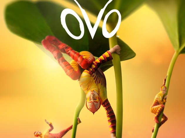 Cirque du Soleil - Ovo Cirque du Soleil - Ovo
