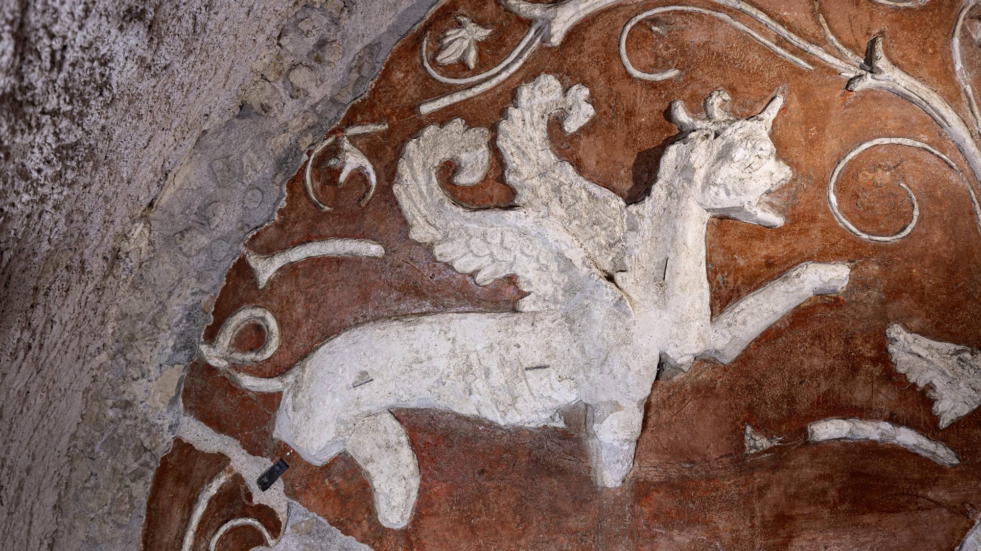 Parco archeologico del Colosseo, Casa dei Grifi, Dettaglio della lunetta in stucco con grifo, Foto Simona Murrone