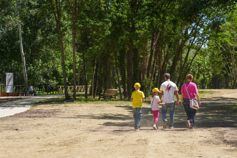 Parco d'affaccio Prati dell’Acqua Acetosa ph. Roma Capitale Parco d'affaccio Prati dell’Acqua Acetosa ph. Roma Capitale