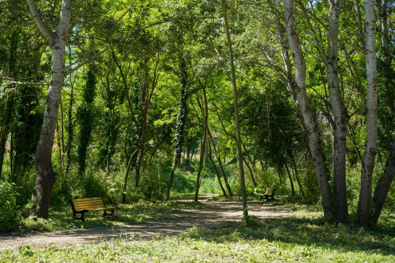 Parco d'affaccio Prati dell’Acqua Acetosa ph. Roma Capitale Parco d'affaccio Prati dell’Acqua Acetosa ph. Roma Capitale