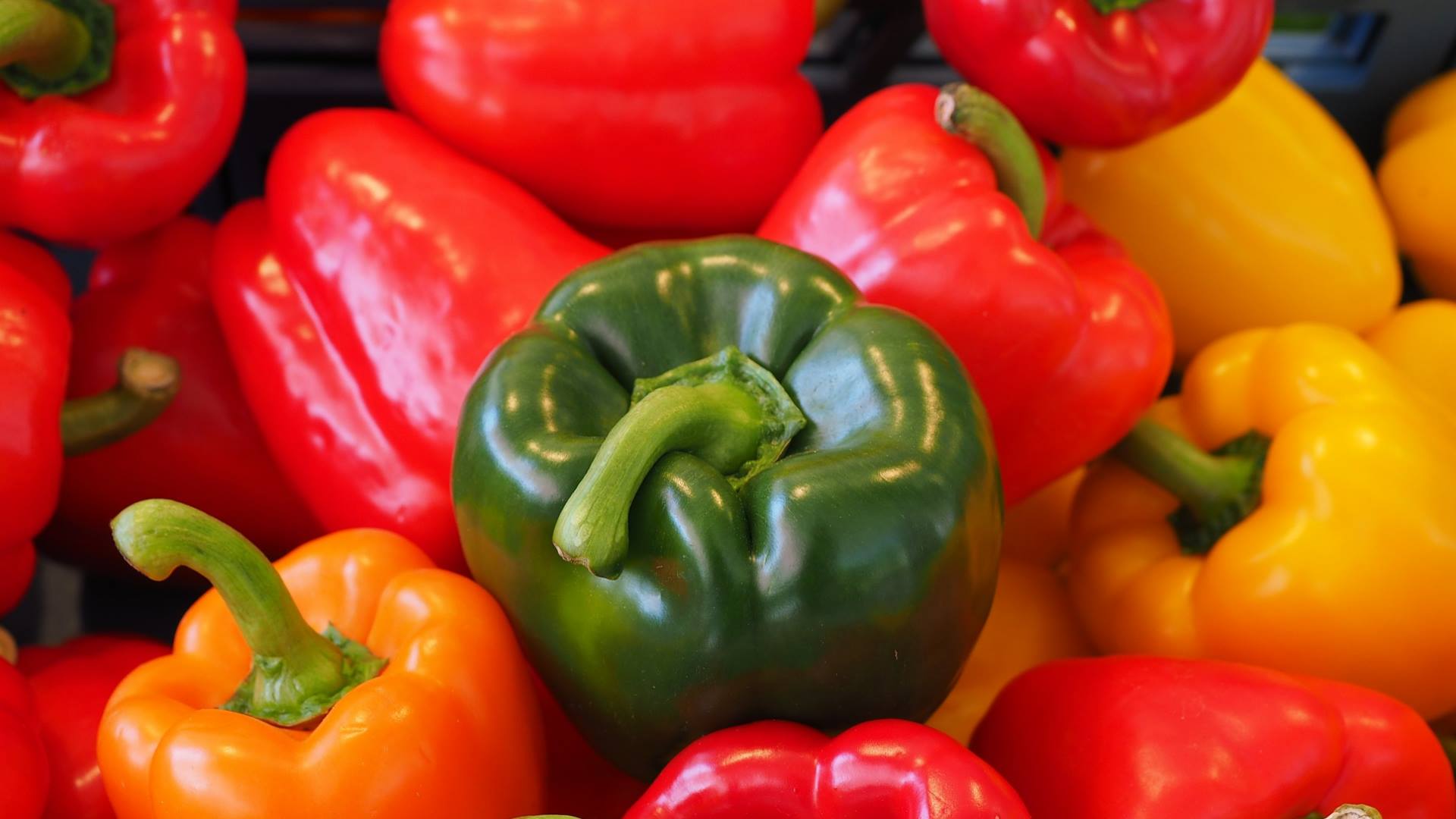 I peperoni: un'esplosione di colori e di sapori nel piatto