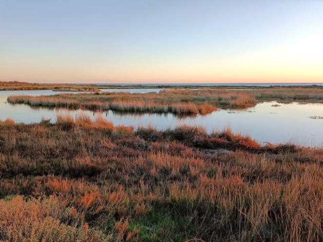 Riserva Naturale regionale di Macchiatonda-Foto: pagina ufficiale Facebook