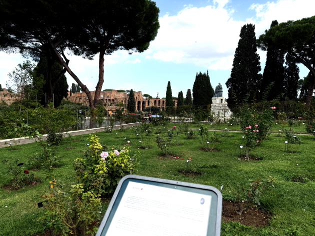 Roseto Comunale Ph. Turismo Roma Roseto Comunale Ph. Turismo Roma