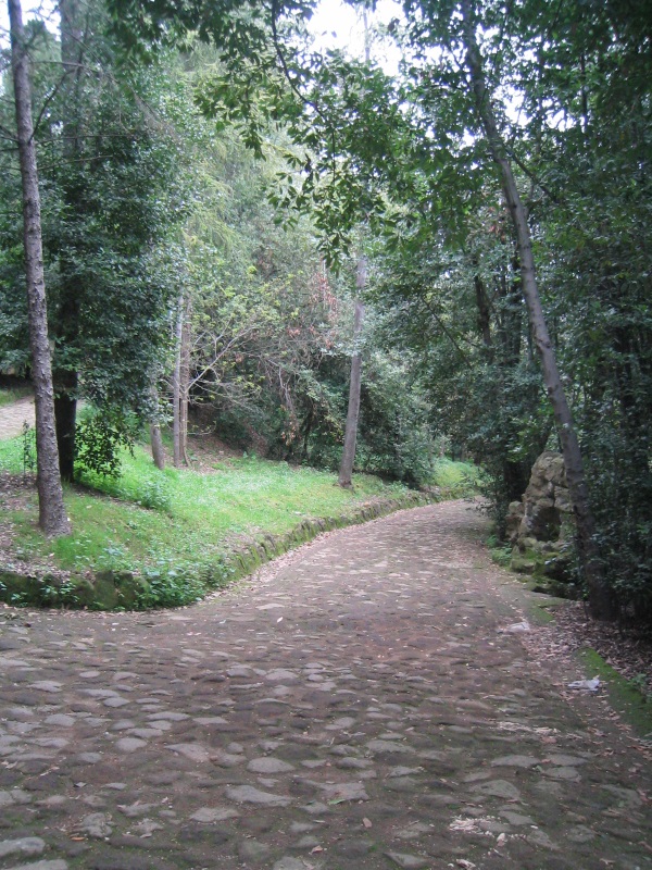 Parco Mellini