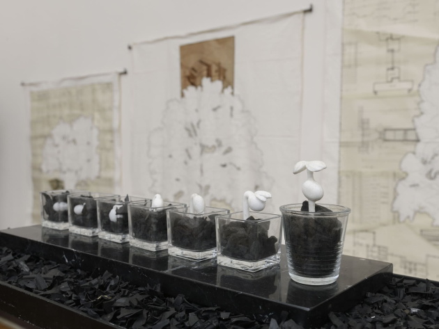 Silvia Scaringella - Deus sive natura - ph. Giorgio Benni Silvia Scaringella - Deus sive natura - ph. Giorgio Benni