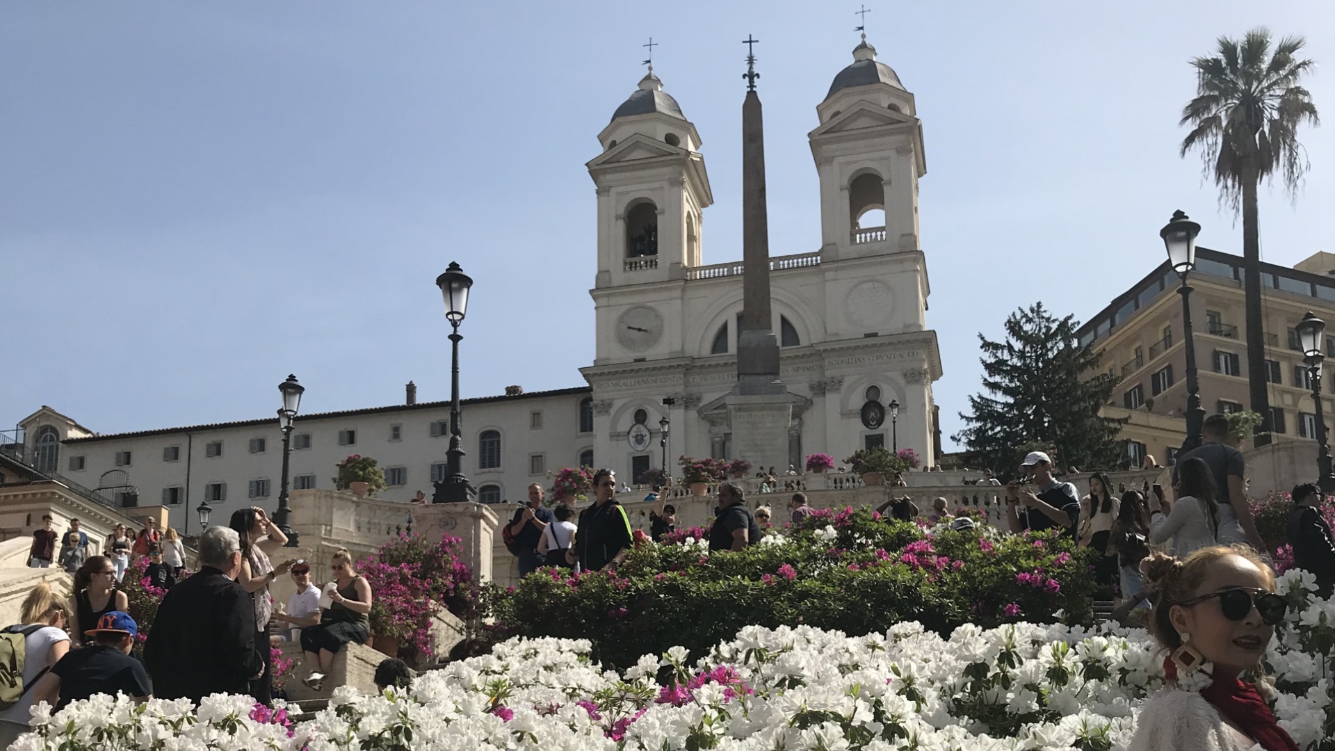 Azalee Scalinata Trinità dei Monti Azalee Scalinata Trinità dei Monti