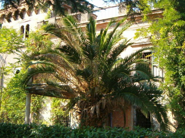 Villa Flora-Foto: Sovrintendenza Capitolina