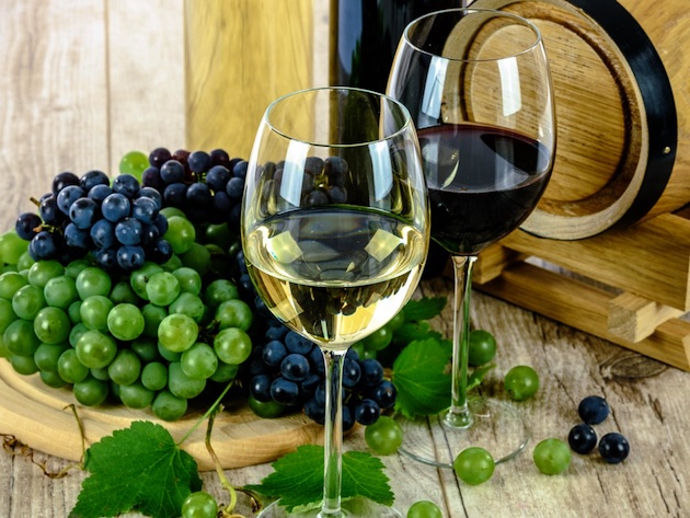 Vini Selvaggi-Foto: Pixabay Vini Selvaggi-Foto: Pixabay