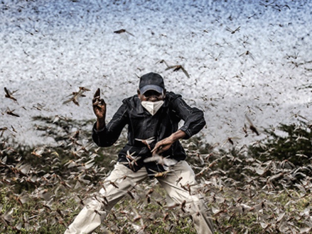 World Press Photo Exhibition 2021