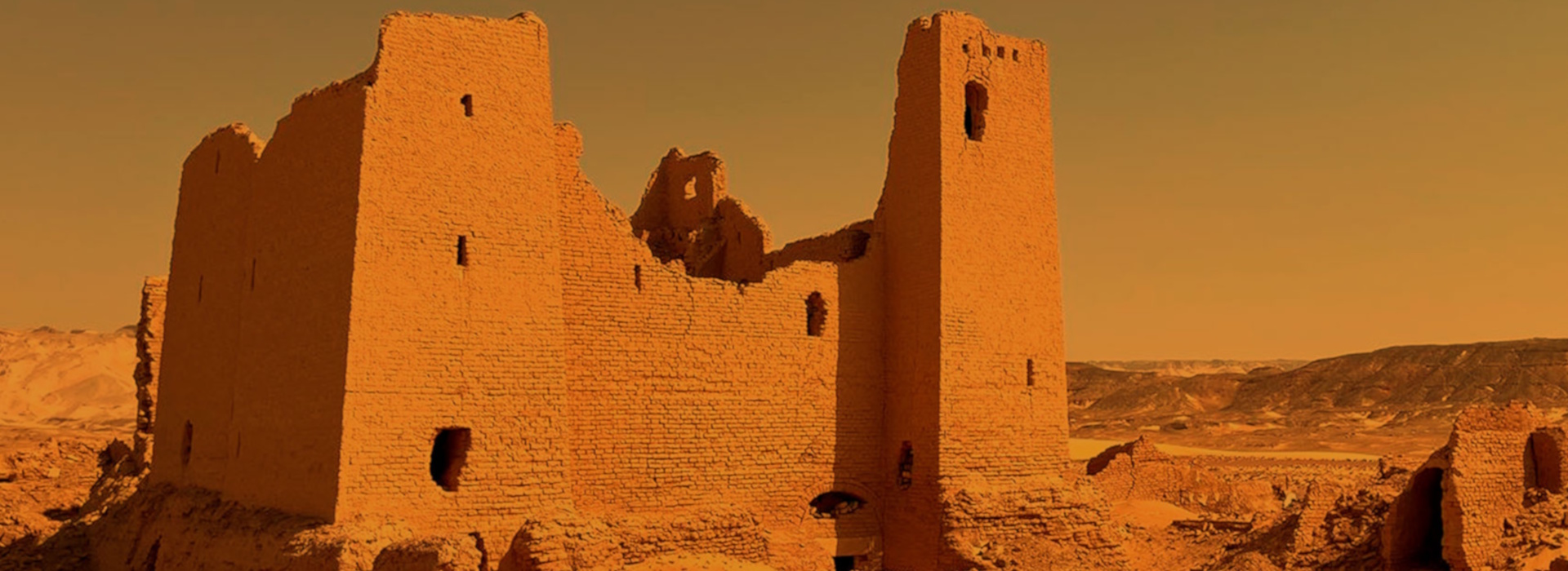 AEGYPTUS - Dal Nilo al Mediterraneo. Oasi e deserti in epoca romana