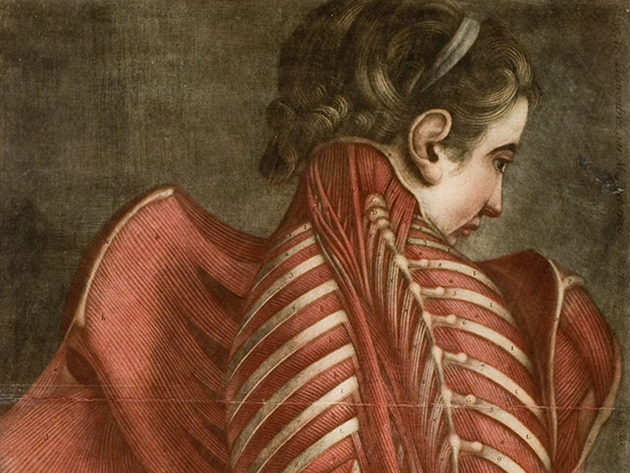 Femme vue de dos, disséquée de la nuque au sacrum, dite l'Ange anatomique , Planche non reliée provenant de Jacques Fabien Gautier d'Agoty, “Mytologie complète en couleur et grandeur naturelle”, Paris, 1746 - Bibliothèque Inter-Universitaire Santé Médecine, Parigi Femme vue de dos, disséquée de la nuque au sacrum, dite l'Ange anatomique , Planche non reliée provenant de Jacques Fabien Gautier d'Agoty, “Mytologie complète en couleur et grandeur naturelle”, Paris, 1746 - Bibliothèque Inter-Universitaire Santé Médecine, Parigi