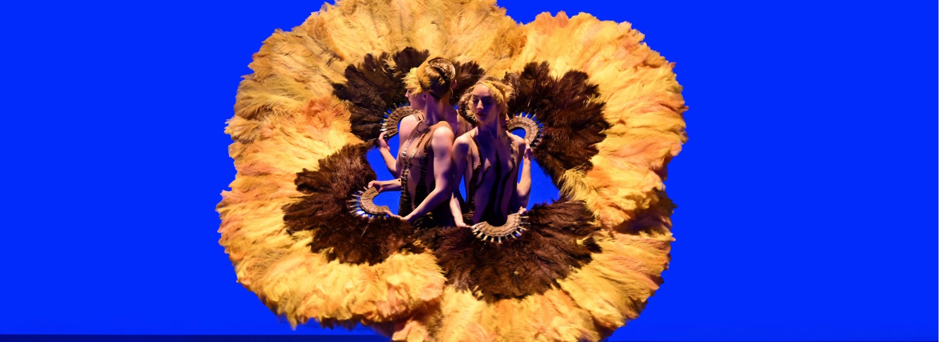 MOMIX Botanica Season 2