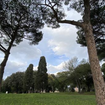 Parco di Colle Oppio e delle Terme di Traiano