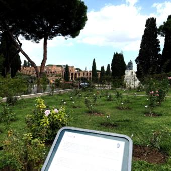 Roseto Comunale Ph. Turismo Roma Roseto Comunale Ph. Turismo Roma
