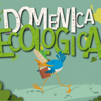 9 novembre - Prima Domenica Ecologica