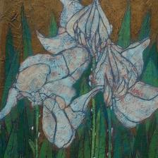 Garth Speight, Iris bianchi, acrilico, cm. 37x52