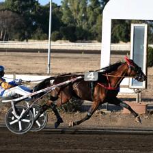 Ippodromo Capannelle Roma Ph. Ippodromo Capannelle Ippodromo Capannelle Roma Ph. Ippodromo Capannelle