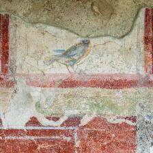 Capodanno con l’archeologia Terme di Caracalla, Arco di Malborghetto, Villa di Livia, Santuario Siriaco aperti il 1° gennaio-Foto: Fabio Caricchia, particolare di affresco della Villa di Livia