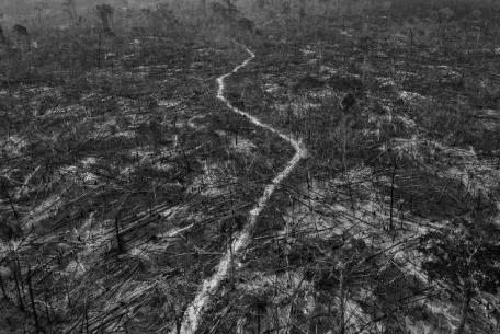 Amazonian Dystopia, Lalo de Almeida, Brazil, for Folha de São Paulo/Panos Pictures Amazonian Dystopia, Lalo de Almeida, Brazil, for Folha de São Paulo/Panos Pictures