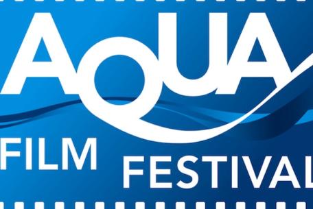 Aqua Film Festival - VIII edizione-Foto: locandina ufficiale dell'Aqua Film Festival