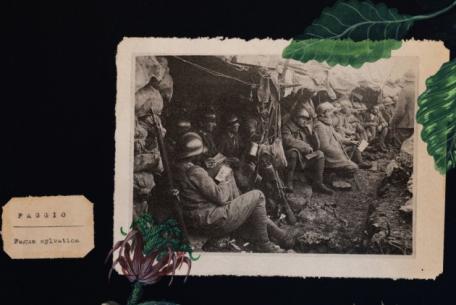 C’è tempo per le nespole. Nuove narrazioni dalla Grande Guerra-Foto: sito ufficiale dell'Istituto Centrale per il Catalogo e la Documentazione C’è tempo per le nespole. Nuove narrazioni dalla Grande Guerra-Foto: sito ufficiale dell'Istituto Centrale per il Catalogo e la Documentazione
