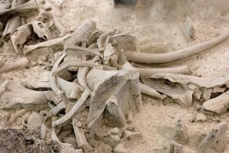 Deposito Pleistocenico de La Polledrara di Cecanibbio-Foto Sovrintendenza Speciale di Roma