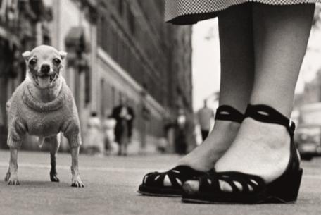 Elliott Erwitt USA. New York City, 1946 40x50 cm © Elliott Erwitt Private Collection Elliott Erwitt USA. New York City, 1946 40x50 cm © Elliott Erwitt Private Collection