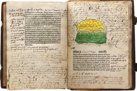 Herbarius, 1485, Collezione Peter Goop, foto Naomi Wenger Herbarius, 1485, Collezione Peter Goop, foto Naomi Wenger