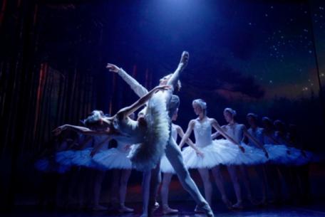 Il lago dei cigni Il lago dei cigni