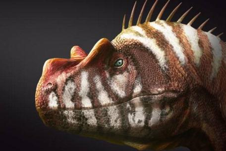 L'impero dei dinosauri: l'ascesa dei mammiferi. Scienza, arte e natura si incontrano a Roma-Foto: locandina ufficiale della mostra L'impero dei dinosauri: l'ascesa dei mammiferi. Scienza, arte e natura si incontrano a Roma-Foto: locandina ufficiale della mostra