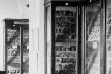 Origine e prospettive-Foto: locandina ufficiale della mostra