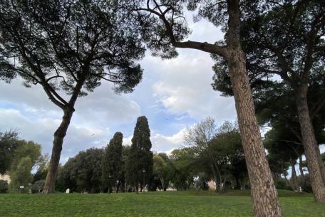 Parco di Colle Oppio e delle Terme di Traiano