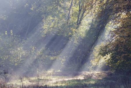 Riserva Naturale dell'Insugherata