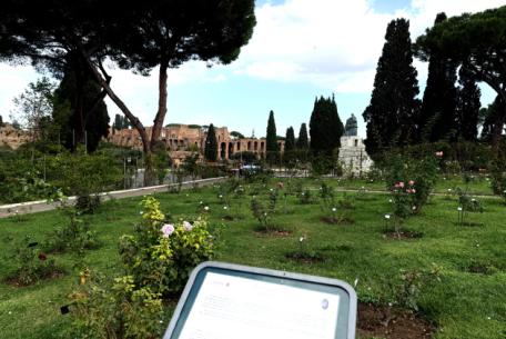 Roseto Comunale Ph. Turismo Roma
