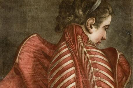 Femme vue de dos, disséquée de la nuque au sacrum, dite l'Ange anatomique , Planche non reliée provenant de Jacques Fabien Gautier d'Agoty, “Mytologie complète en couleur et grandeur naturelle”, Paris, 1746 - Bibliothèque Inter-Universitaire Santé Médecine, Parigi Femme vue de dos, disséquée de la nuque au sacrum, dite l'Ange anatomique , Planche non reliée provenant de Jacques Fabien Gautier d'Agoty, “Mytologie complète en couleur et grandeur naturelle”, Paris, 1746 - Bibliothèque Inter-Universitaire Santé Médecine, Parigi