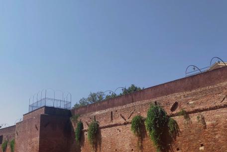 Camminamento delle Mura Aureliane di Viale Pretoriano