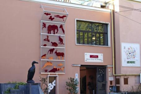 Museo Civico di Zoologia