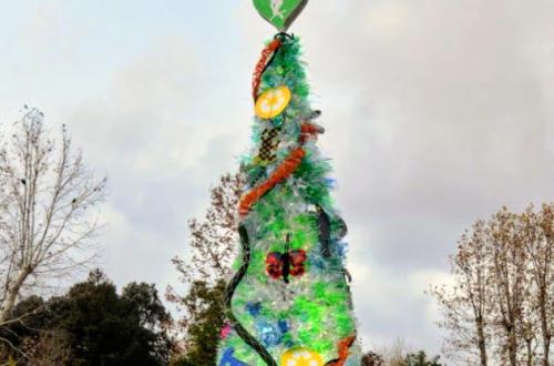 Albero Bioparco 2022 @Massimiliano Di Giovanni – Archivio Bioparco