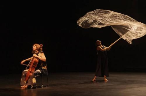 Sasha Waltz/Anastasia Kobekina - "Bach Cello Dance"-Foto: pagina ufficiale Facebook del Romaeuropa Festival
