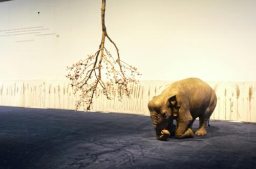 Creature Creatori foto ®LuisDoRosario, courtesy Fondazione MAXXI Creature Creatori foto ®LuisDoRosario, courtesy Fondazione MAXXI