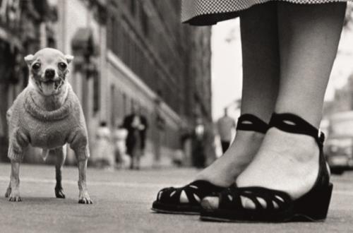 Elliott Erwitt USA. New York City, 1946 40x50 cm © Elliott Erwitt Private Collection