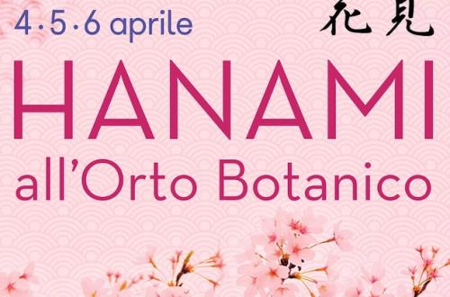 Hanami all'Orto Botanico-Foto: locandina ufficiale della manifestazione