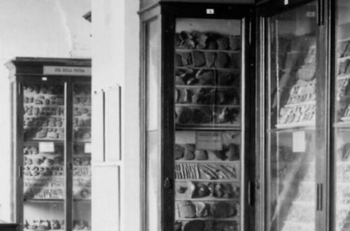 Origine e prospettive-Foto: locandina ufficiale della mostra Origine e prospettive-Foto: locandina ufficiale della mostra