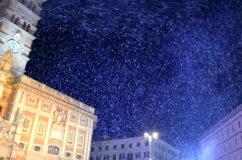 Rievocazione storica del Miracolo della Neve a Santa Maria Maggiore 2025 Rievocazione storica del Miracolo della Neve a Santa Maria Maggiore 2025